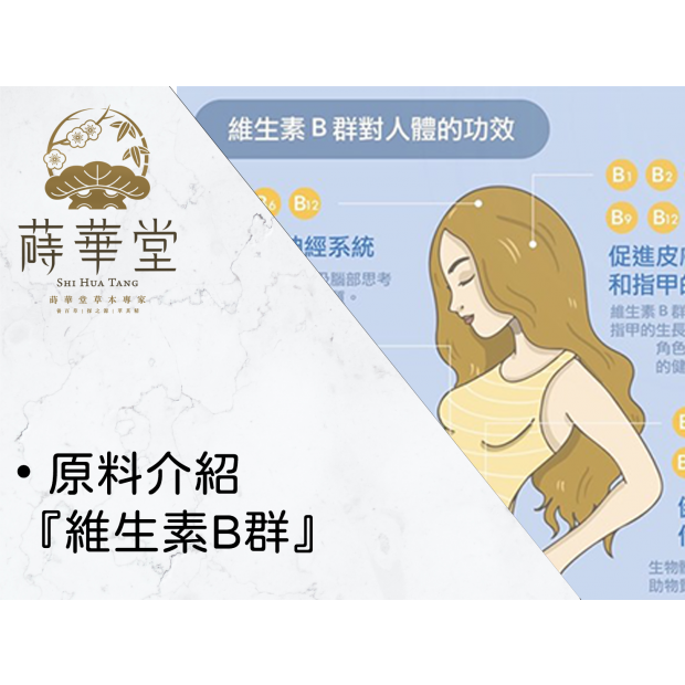 • 原料介紹『維生素B群』.png