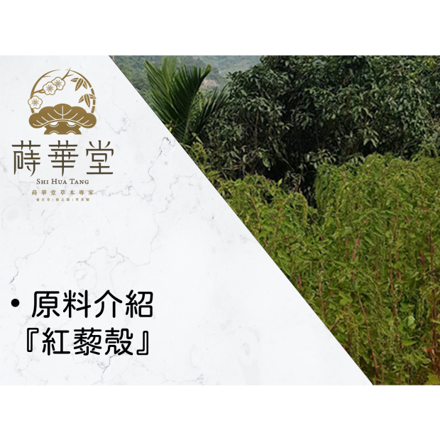 • 原料介紹『紅藜殼』.png