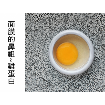 面膜的鼻祖~雞蛋白-1.png