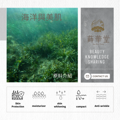 海洋_美機.png