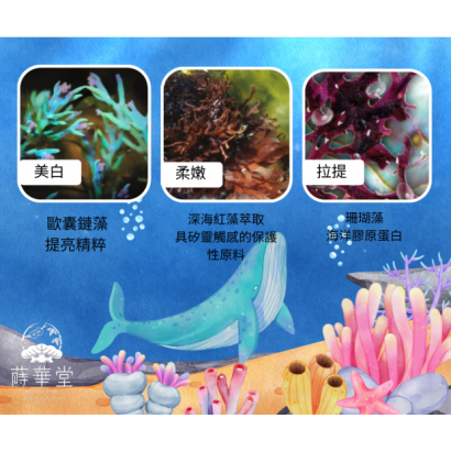新版2.png