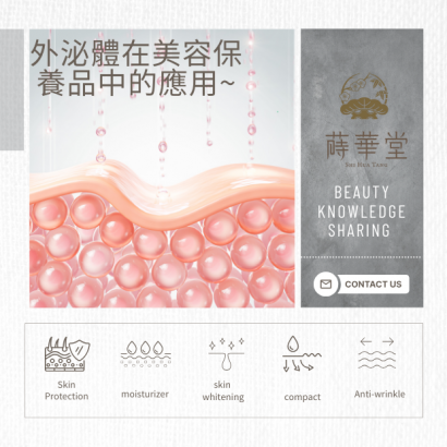 甚麼是外泌體.png